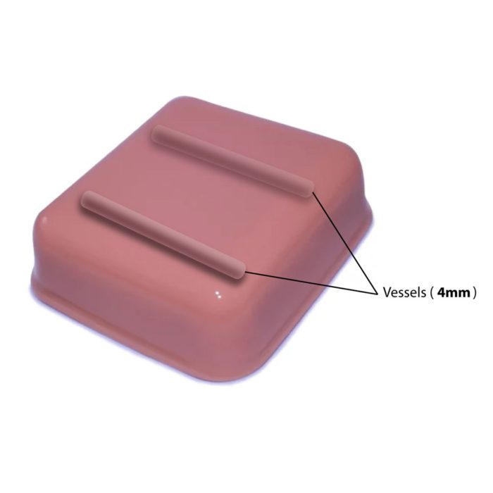 Hm2.0 Re-Moldable 2 Vessel Ultrasound Training Model - Image 13