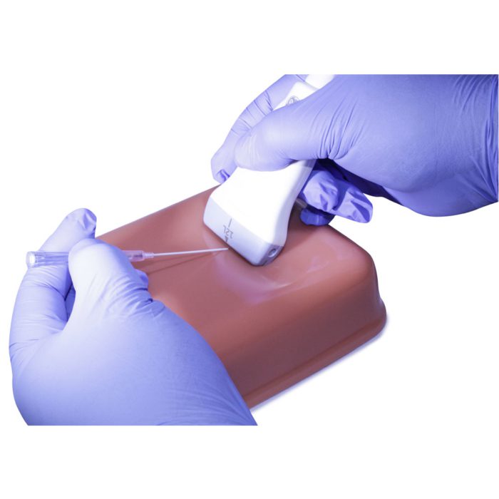 Orientation Ultrasound Phantom Trainer - Image 6