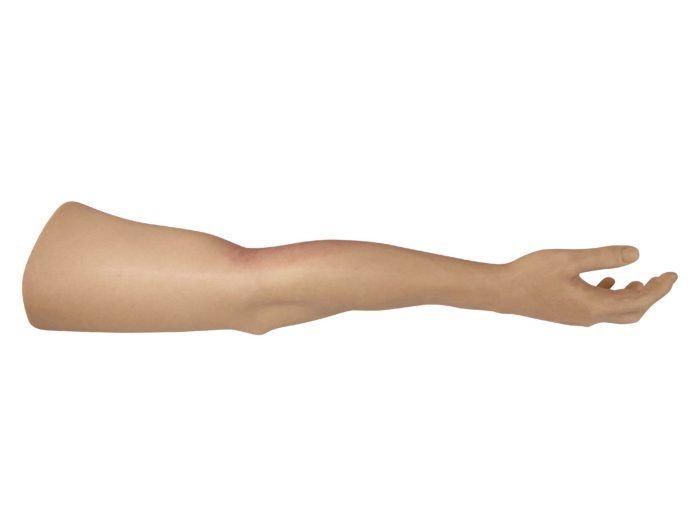 HM - Tourniquet Arm Trainer - Image 5