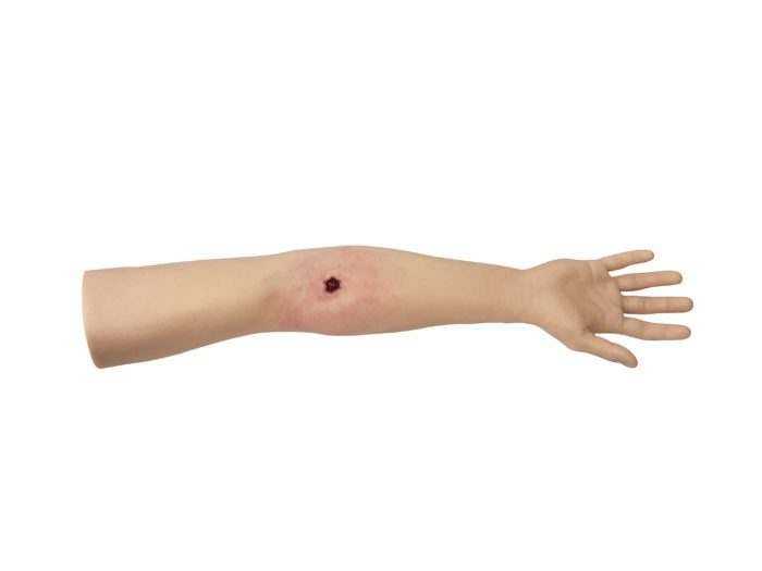 HM - Tourniquet Arm Trainer - Image 2